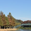 담양 | 담양 관방제림 실시간 단풍 죽녹원 후기 (담양여행 추천코스)