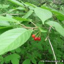 산수황토방 이미지