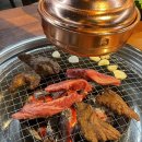 은행나무갈매기 이미지