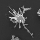 READ n PLAY(For Book Quiz) 이미지