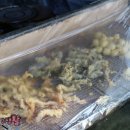 대전선화초등학교 이미지