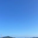 밀감밭펜션