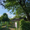 벌말 도당굿 및 도당 이미지