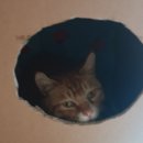 조이노래연습장 이미지