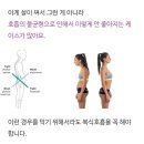 복식호흡 이미지