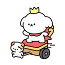 글램독가평 이미지