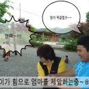 캠핑트리 - 수성구 지범로23길 14-1 | 캠핑트리
