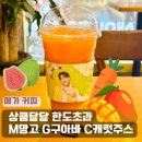 메가커피 신메뉴 M망고 구아바 캐럿 주스 후기 생각보다 달달한 맛