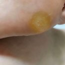 닥터웰뷰티의원 이미지