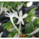 두엽농장 이미지