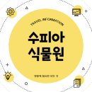 상동어린이공원 앞(서측) | 수피아 식물원 부천 상동 호수공원 호수식물원