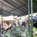 상상짬뽕 이미지