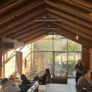 썬더치킨 영도2호점 | 부산 대형 카페 - 모모스커피 온천장 본점 내돈내산 브런치 후기