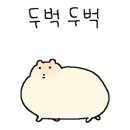 카페몽 이미지