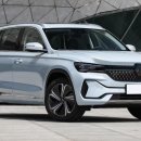 뉴오로라 이미지