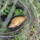 한수카센타 이미지