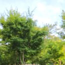 연암공원 이미지