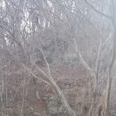 냉천공원 이미지