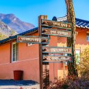 산야초체험관민박 이미지