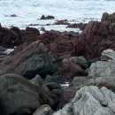 웰링턴뷰 이미지