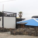 할라타플레이스협재 이미지