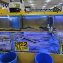 광어1마리 18000 이미지