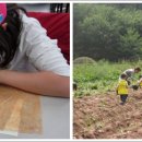 포전마을 이미지