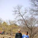 용인자연휴양림4 이미지