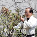 국선도(기체조, 단전호흡, 명상) 이미지