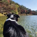 봉황자연휴양림 이미지