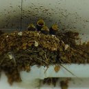 욕지면사무소 이미지