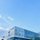 능소화꿈나무 이미지