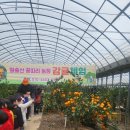 영암군 공공재활용선별시설 | [전라남도 영암군] 왕벚165