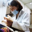 신바다속으로