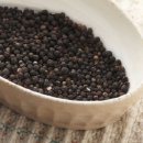 안녕, 후추 이미지