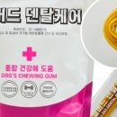 월드덴탈 이미지