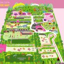 코스모스피아 | 대구 근교 칠곡 가볼만한곳 추천 가산수피아 핑크뮬리 명소 개화시기 입장료 무료