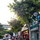 삐삐탕후루 | [망원] 망원 중식 맛집 하면 당연히 "강동원"?(웨이팅 찐후기, 4인 추천메뉴, 짬뽕/짜장/탕수육/흑후추...