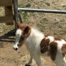 (주)즐거운세상 이미지