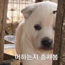 같이 이미지