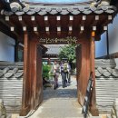 스미스 플라워 | [서울 한옥 스몰웨딩] 스미스가 좋아하는 한옥_비 오는 날부터 햇살까지 완벽했던 결혼식