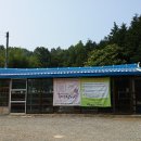 거시기삼계탕