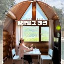 해변통나무펜션 | 밀양 펜션 숙소 추천 글램핑 통나무집 감성 밀양로그펜션