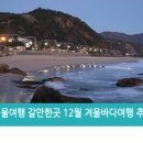 바다여행 이미지