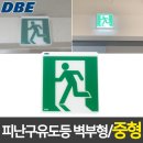 동방전자 이미지