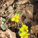 화산보건진료소 이미지