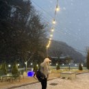 홍춘이가 차 고치는 집 | 불안형 성격 고치는 법, 심리학자들이 추천하는 진짜 방법 5