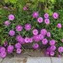 어느주택 이미지