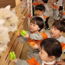 죽향초교 병설유치원 이미지