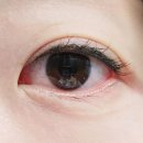 잠안삼성쉐르빌 상가 | 왕십리 속눈썹펌 잘하는 곳 리고뷰티 후기